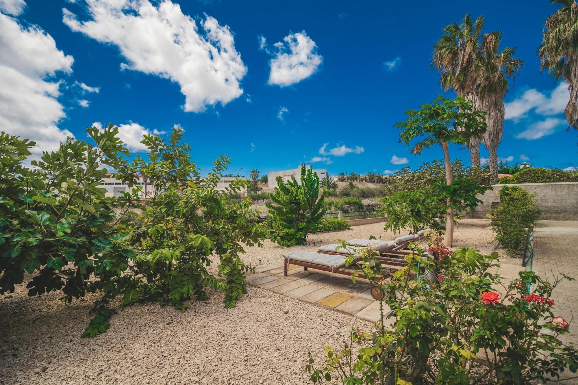 Slowing Villas - Villa Oceano Порту-Санту Экстерьер фото