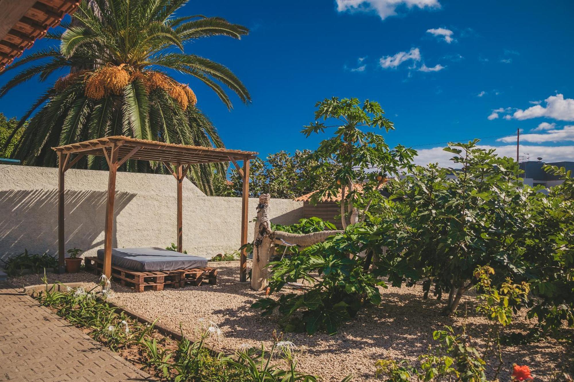 Slowing Villas - Villa Oceano Порту-Санту Экстерьер фото